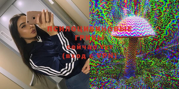 тгк Алзамай