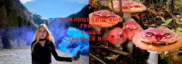 тгк Алзамай