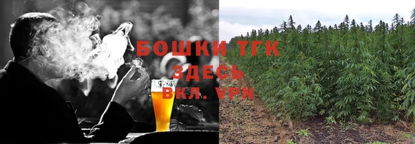 тгк Алзамай