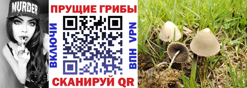 как найти закладки  Пласт  Галлюциногенные грибы мухоморы 